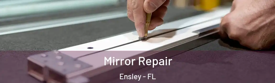  Mirror Repair Ensley - FL