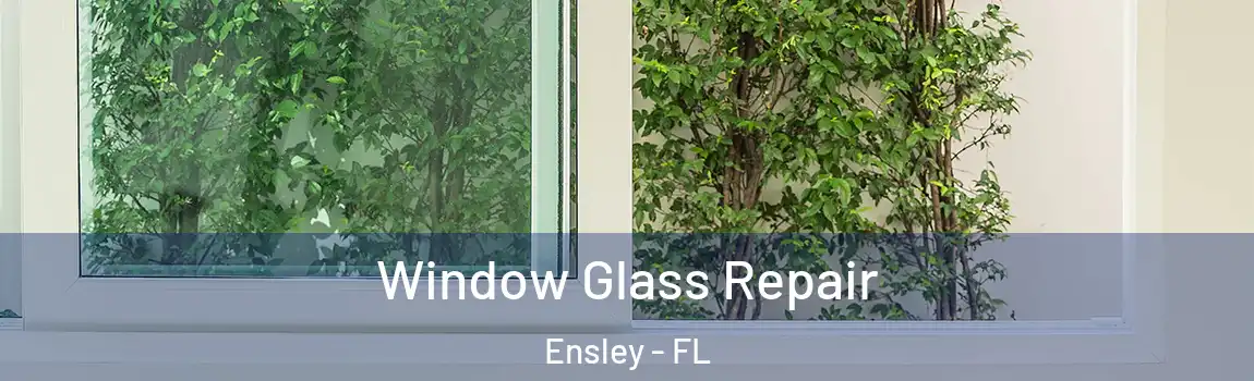  Window Glass Repair Ensley - FL